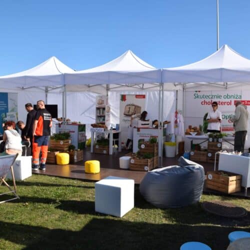 products_881_20251203140137_7653