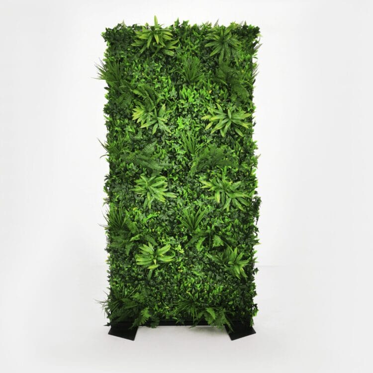 GREEN WALL – MAGIC GARDEN