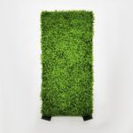 GREEN WALL – MOSSY