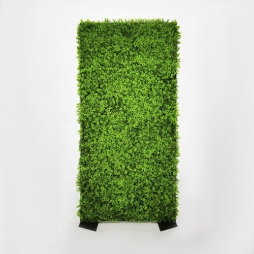 GREEN WALL – MOSSY