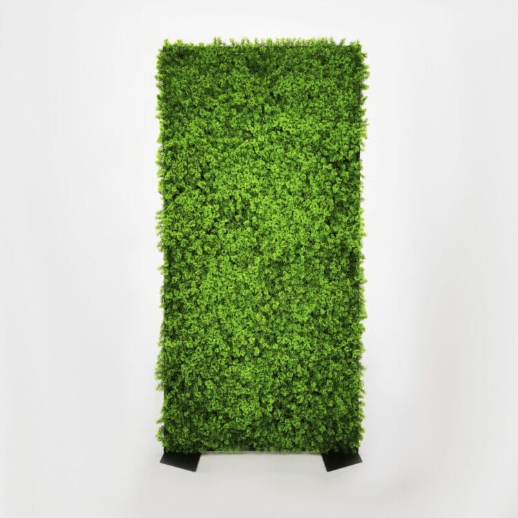 GREEN WALL – MOSSY