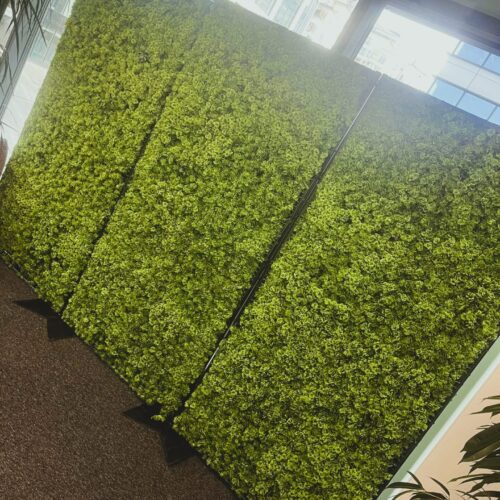 products_6967_20251203133231_8615
