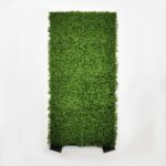 GREEN WALL – HEDGE