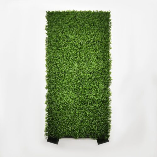 GREEN WALL – HEDGE