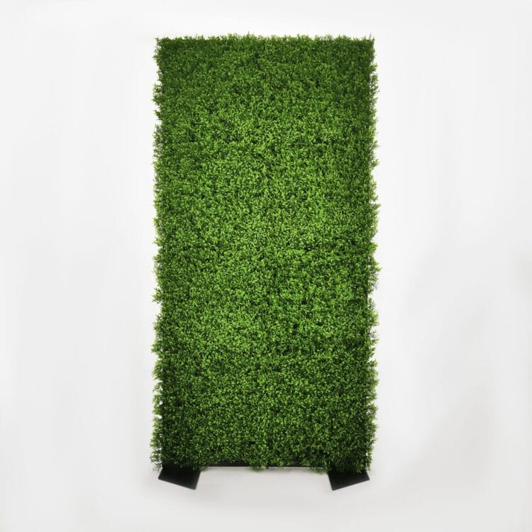 GREEN WALL – HEDGE
