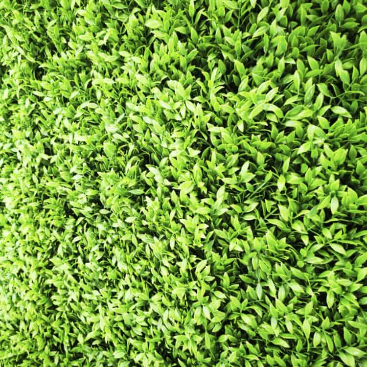 products_6973_20251203133215_7850