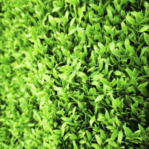 products_6973_20251203133217_3549