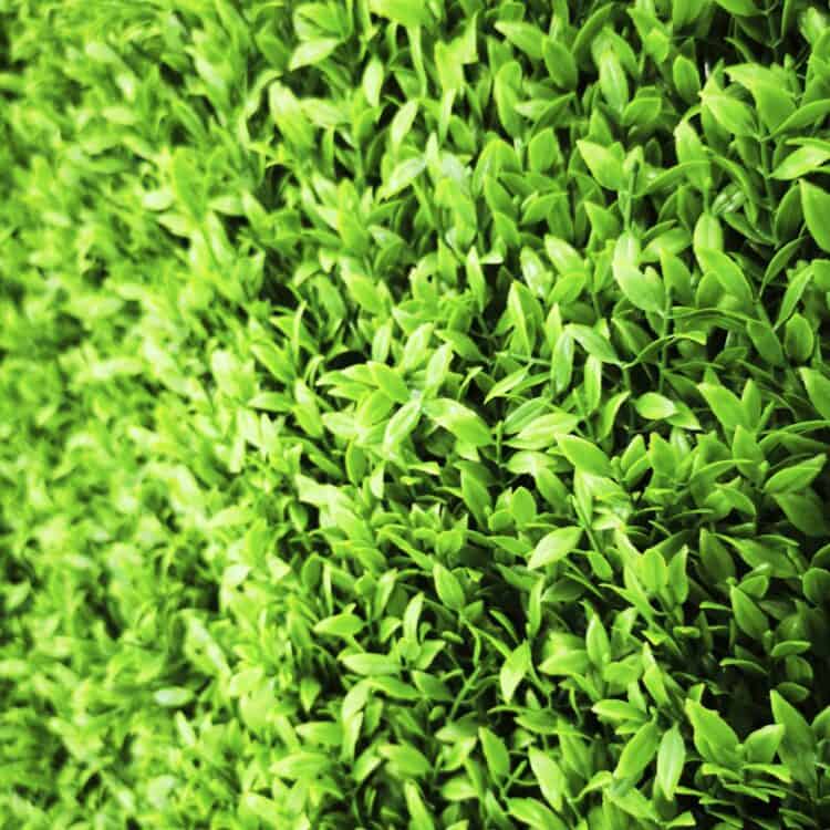 products_6973_20251203133217_3549
